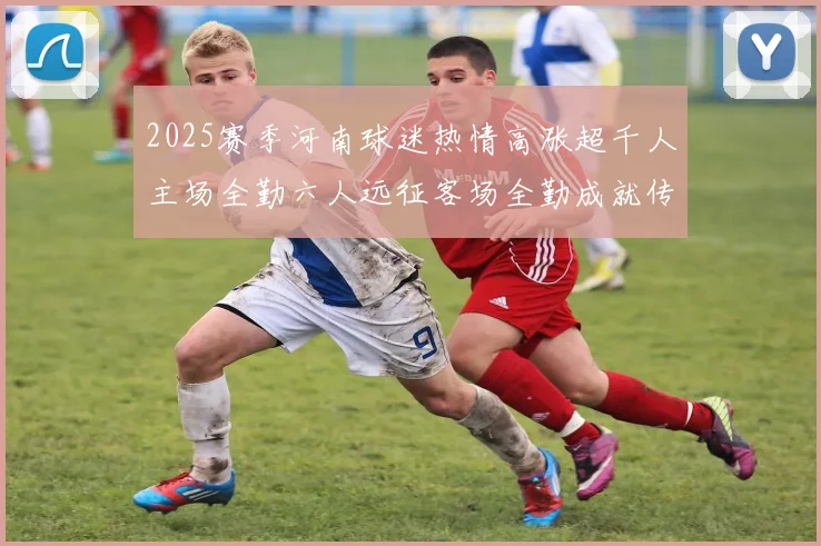 2025赛季河南球迷热情高涨超千人主场全勤六人远征客场全勤成就传奇