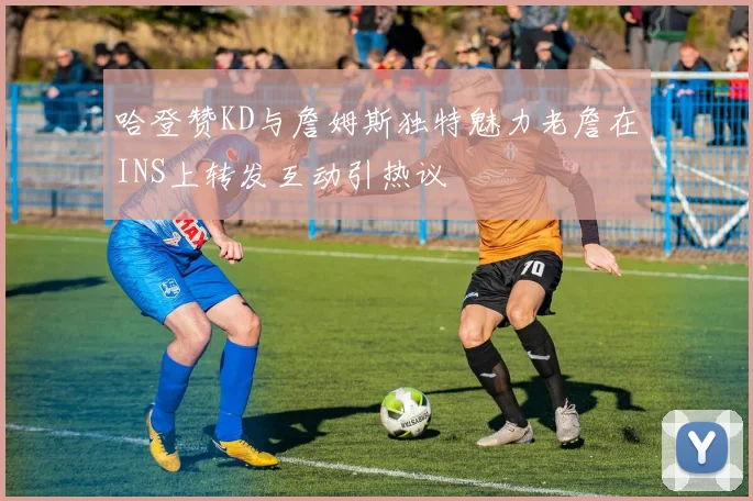 哈登赞KD与詹姆斯独特魅力老詹在INS上转发互动引热议