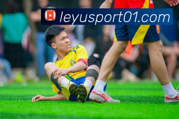 多媒体互动体验