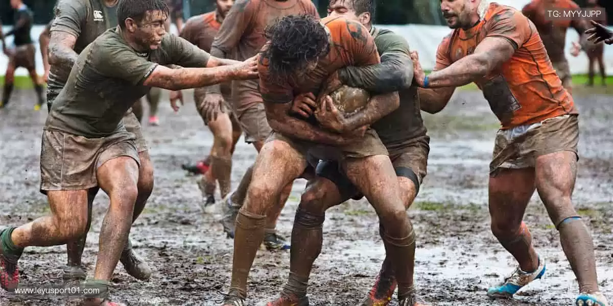 指尖滑动，精彩无限！📱 随时随地，畅享体育直播新体验！
